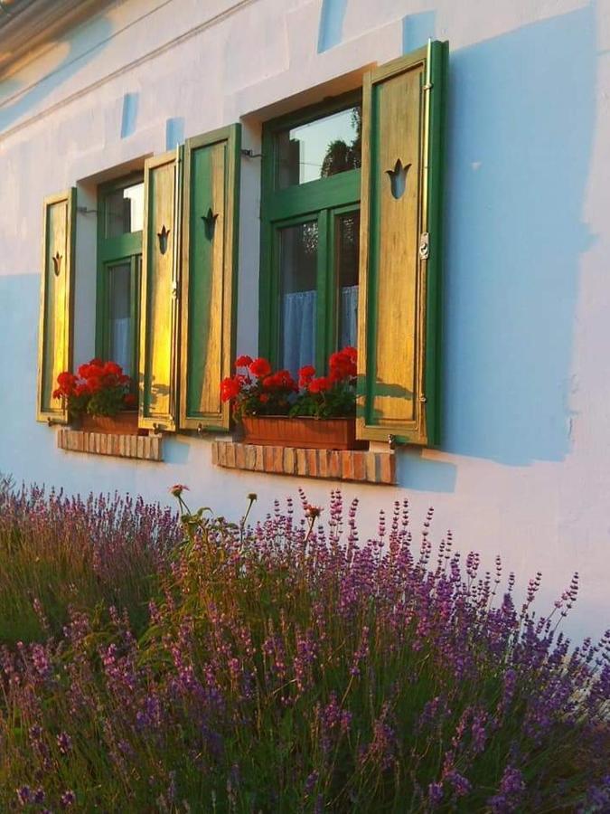 Egkoris Vendeghaz Hotel Bakonyszucs Buitenkant foto