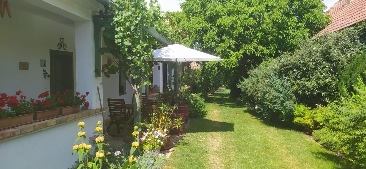 Egkoris Vendeghaz Hotel Bakonyszucs Buitenkant foto