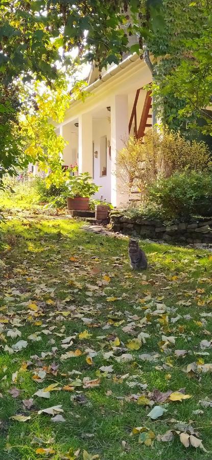 Egkoris Vendeghaz Hotel Bakonyszucs Buitenkant foto