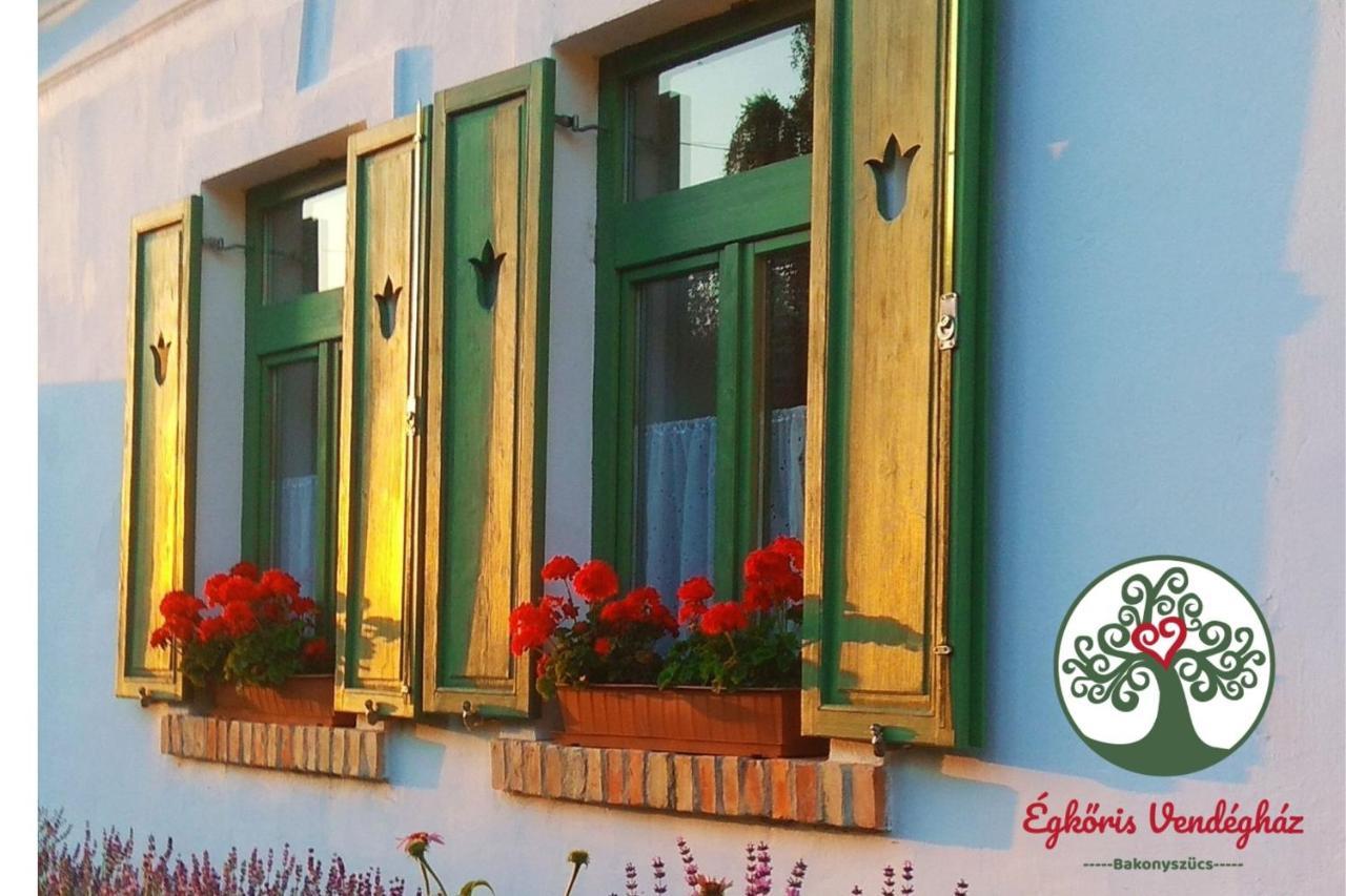 Egkoris Vendeghaz Hotel Bakonyszucs Buitenkant foto